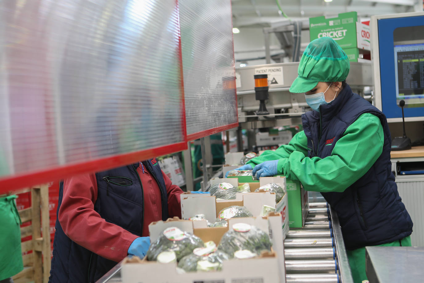 Las trabajadoras están separadas por pantallas de policarbonato y en filas alternas. 