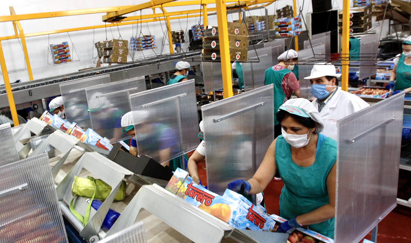 Fotos: Medidas de seguridad de Frutas Torero, de Abarán