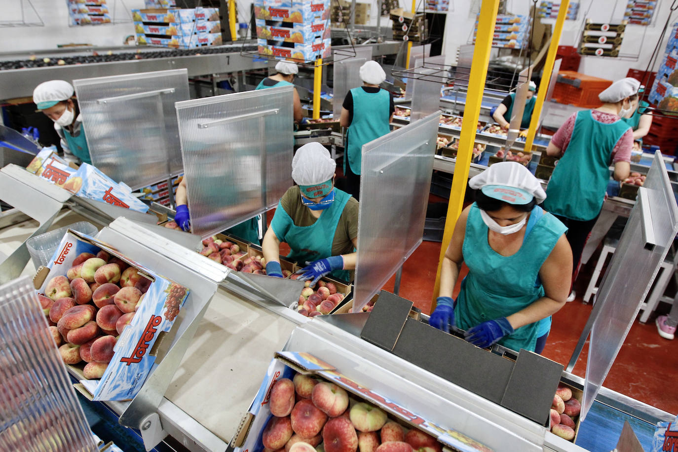 Fotos: Medidas de seguridad de Frutas Torero, de Abarán