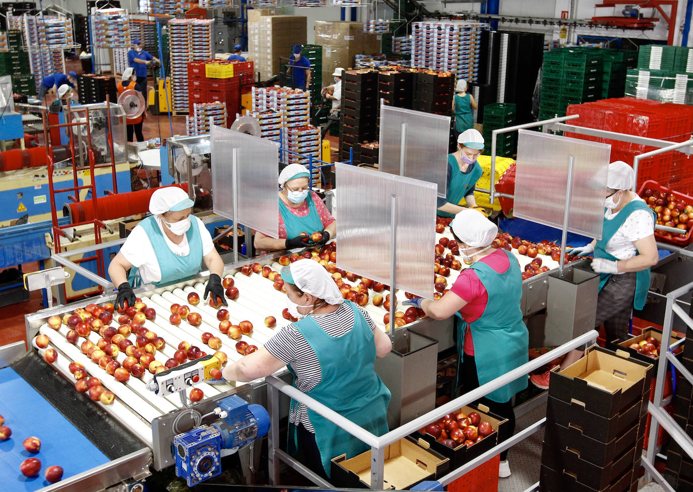 Fotos: Medidas de seguridad de Frutas Torero, de Abarán