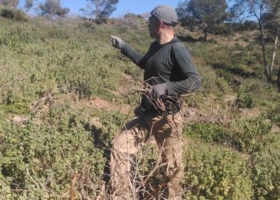 Imagen secundaria 1 - Vista panorámica del Cabezo Ventura. | Trabajos de repoblación en este espacio verde junto al Polígono Industrial de Los Camachos. | Especie autóctona recién plantada.