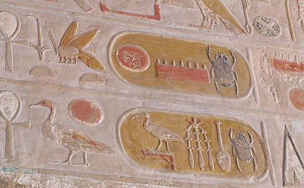 Representación de un ibis en el interior de un cartucho de escritura jeroglífica egipcia. 