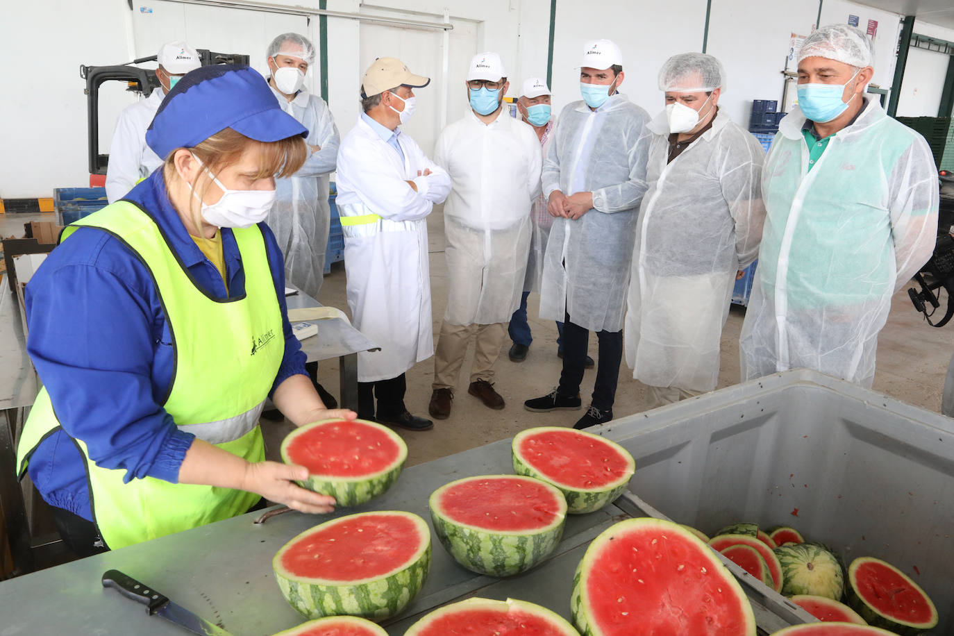 Fotos: La pandemia pasa factura en la cooperativa Alimer