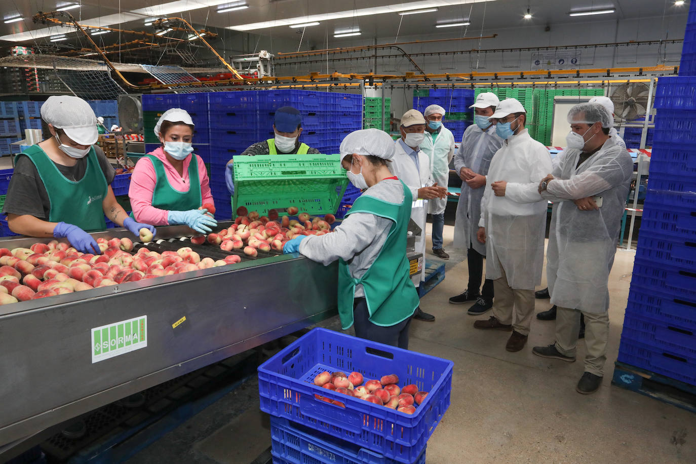 Fotos: La pandemia pasa factura en la cooperativa Alimer