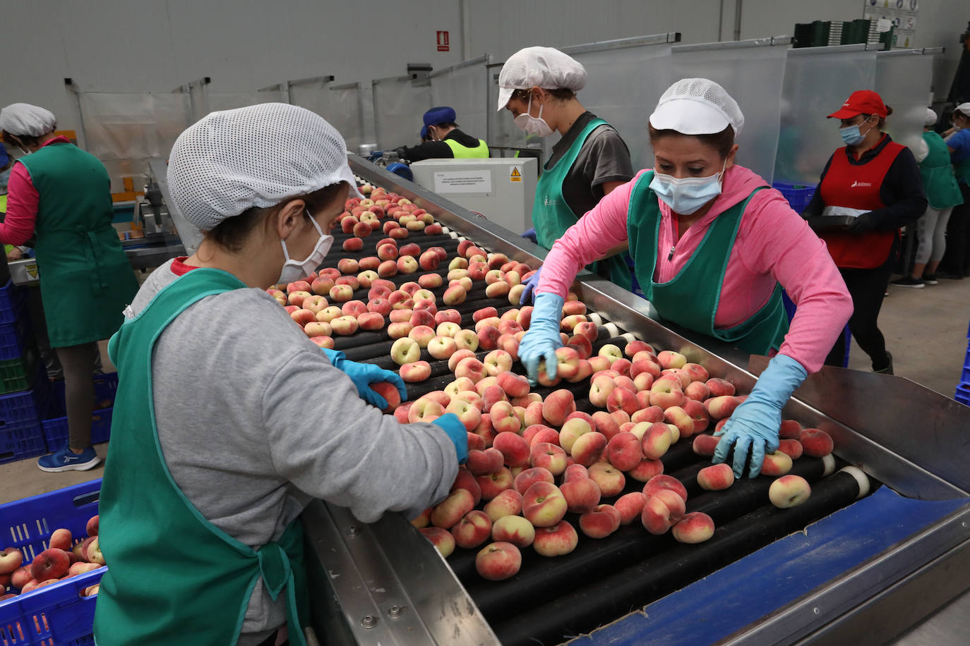 Fotos: La pandemia pasa factura en la cooperativa Alimer