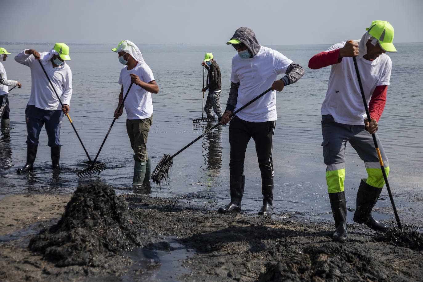 Fotos: La limpieza de las playas del Mar Menor se prorroga por las fuertes lluvias de los últimos días