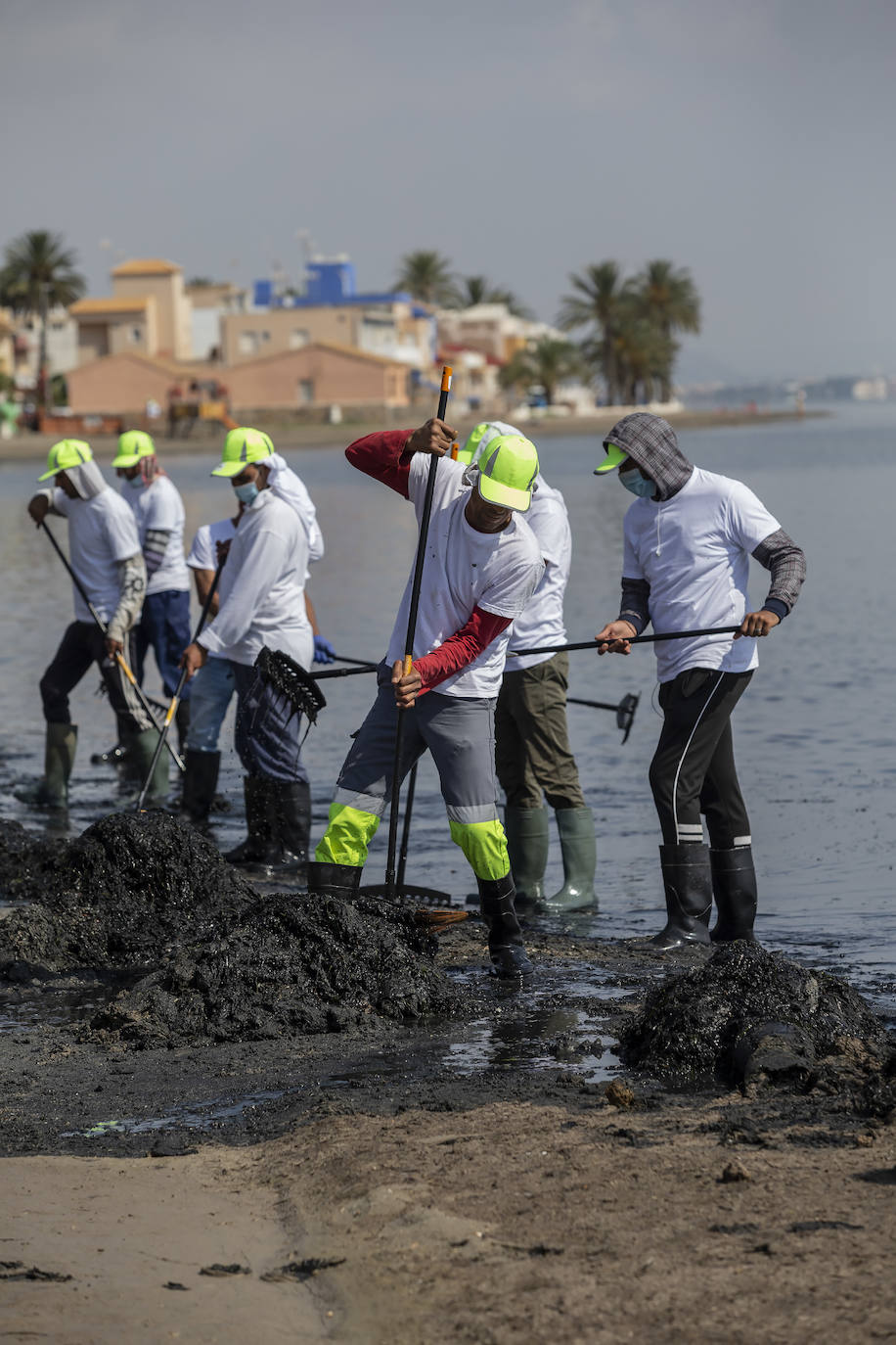 Fotos: La limpieza de las playas del Mar Menor se prorroga por las fuertes lluvias de los últimos días