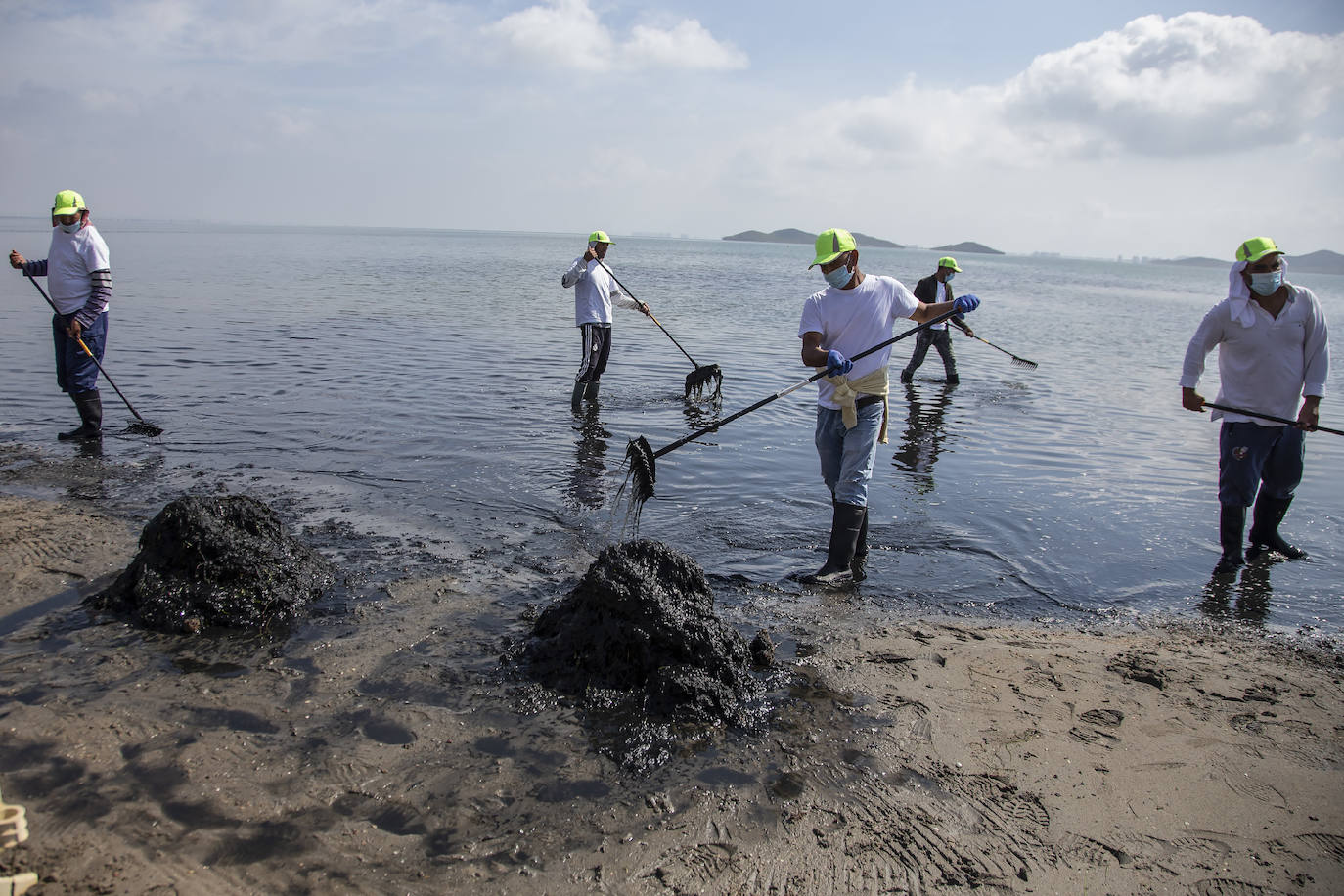 Fotos: La limpieza de las playas del Mar Menor se prorroga por las fuertes lluvias de los últimos días