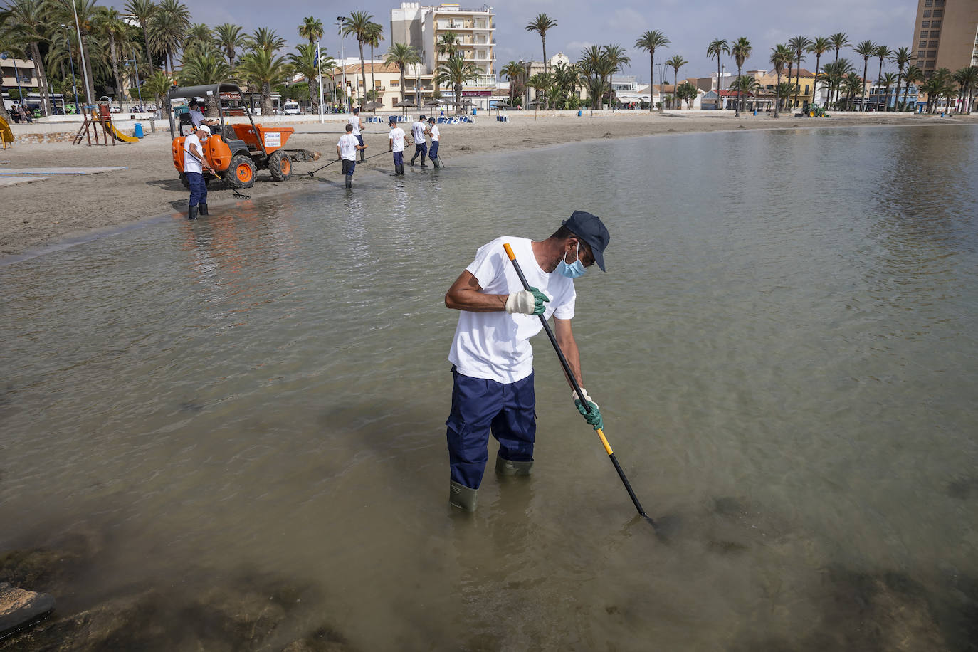 Fotos: La limpieza de las playas del Mar Menor se prorroga por las fuertes lluvias de los últimos días