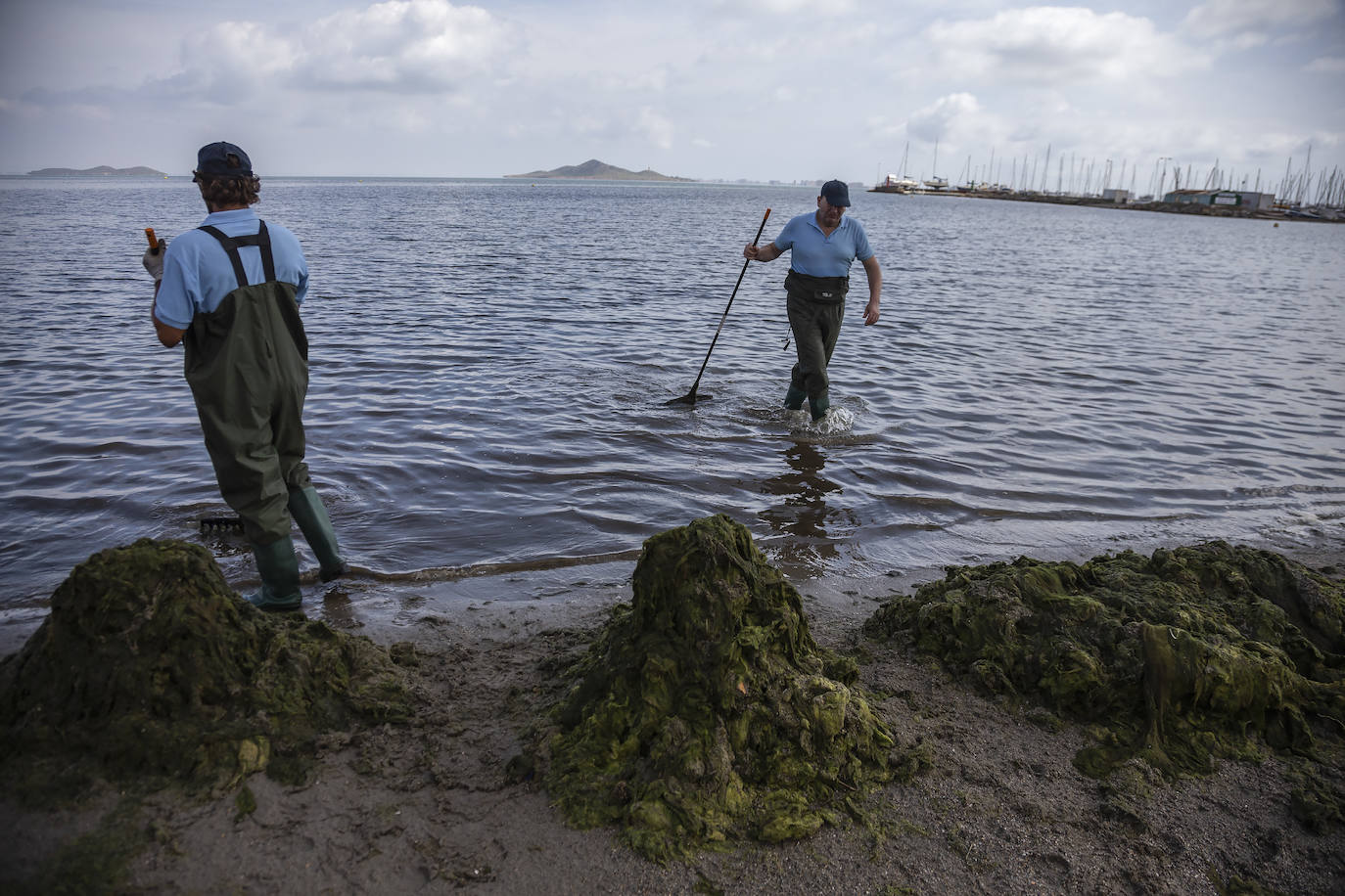 Fotos: La limpieza de las playas del Mar Menor se prorroga por las fuertes lluvias de los últimos días