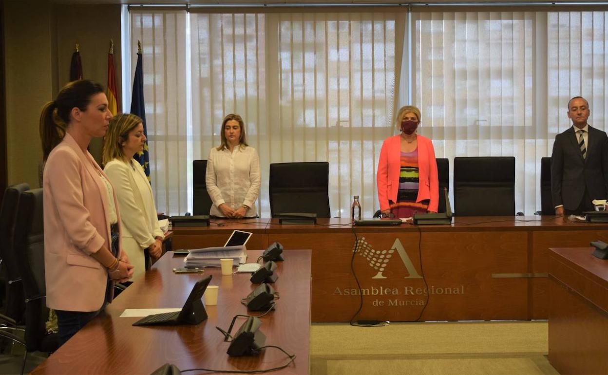 Minuto de silencio antes del comienzo de la Comisión Especial de Financiación Autonómica de la Asamblea.