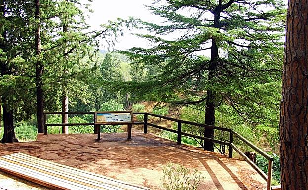 Panel explicativo sobre el entorno de Sierra Espuña. 