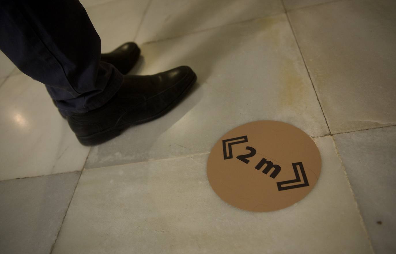 Fotos: Las esculturas de Salzillo se reencuentran con el público