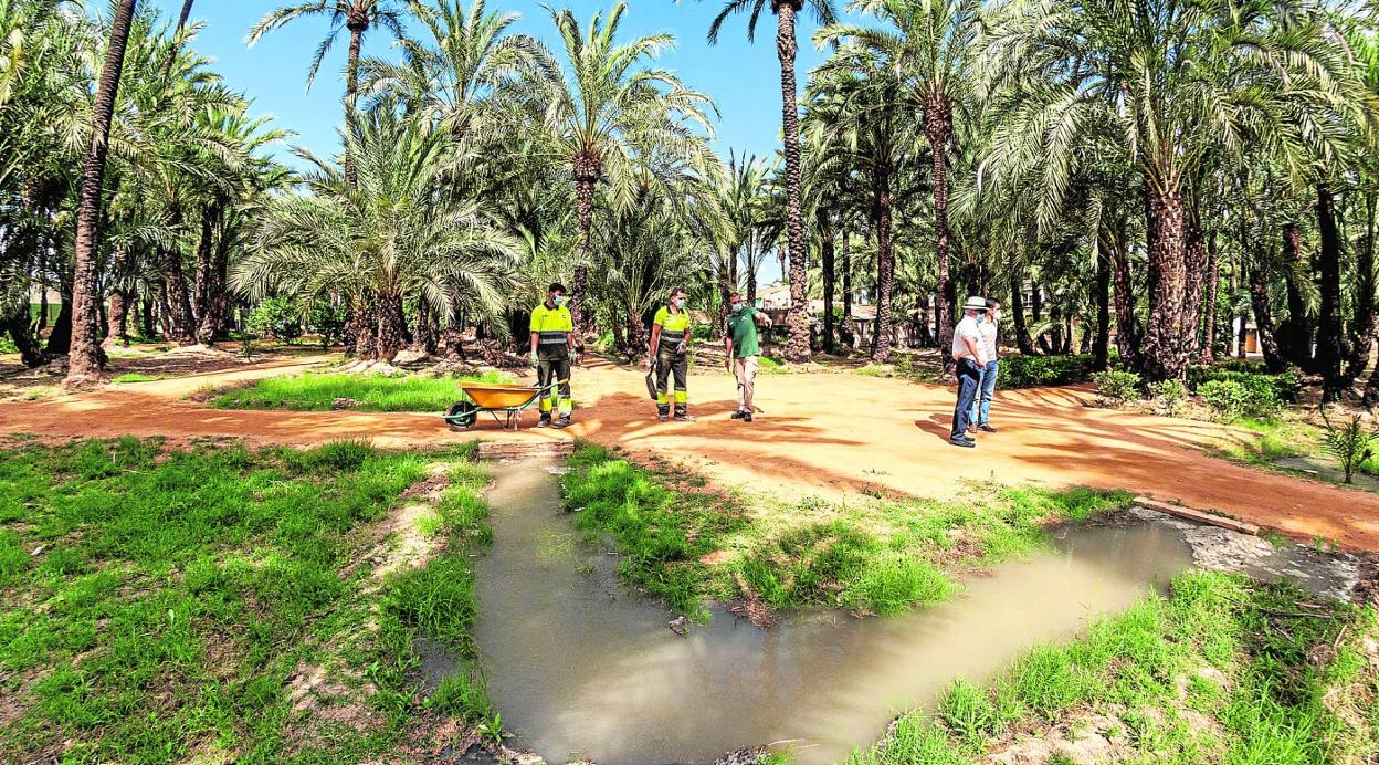 El palmeral de Santiago y Zaraíche mantiene el tradicional sistema de riego a manta o por inundación heredado de los árabes y utilizado también en la huerta. 