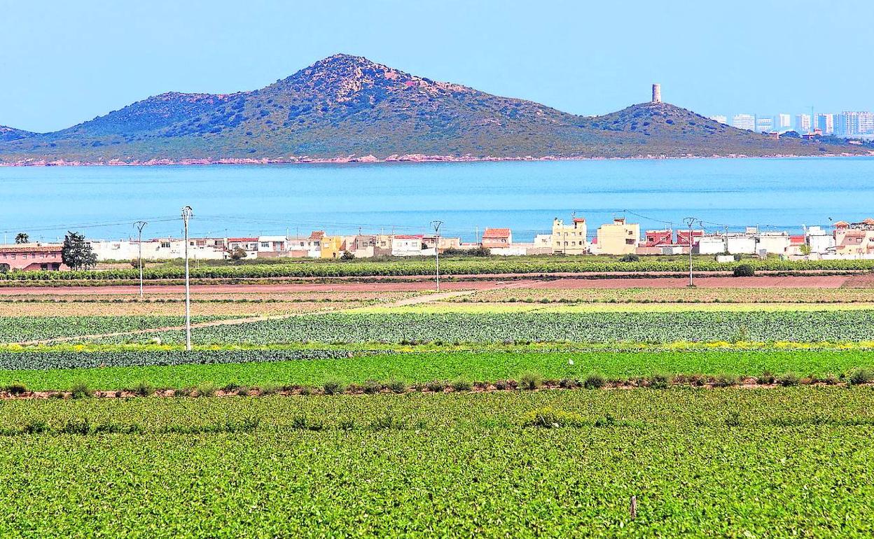 Actividad agrícola en el Campo de Cartagena, con el Mar Menor al fondo, donde destaca la Isla del Barón.