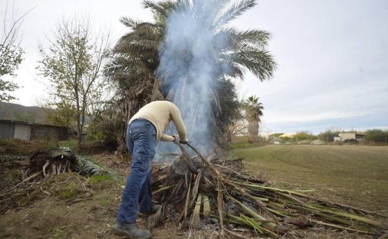 El propietario de una parcela en la huerta de Murcia quema restos de poda