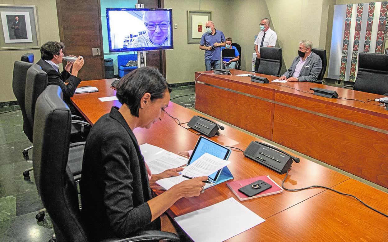 Los diputados atienden al profesor Ángel de la Fuente, que intervino por videoconferencia. 