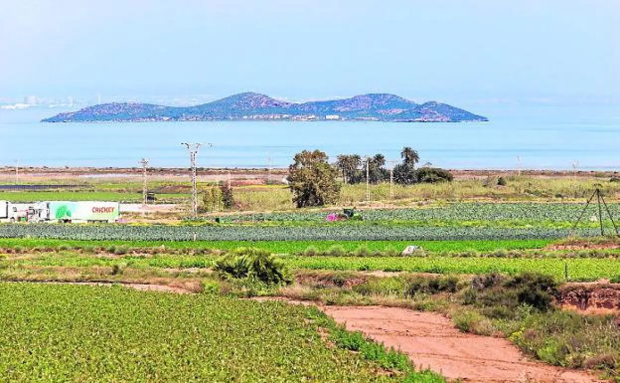 Imagen de archivo de una explotación agrícola en el entorno más cercano al Mar Menor. 