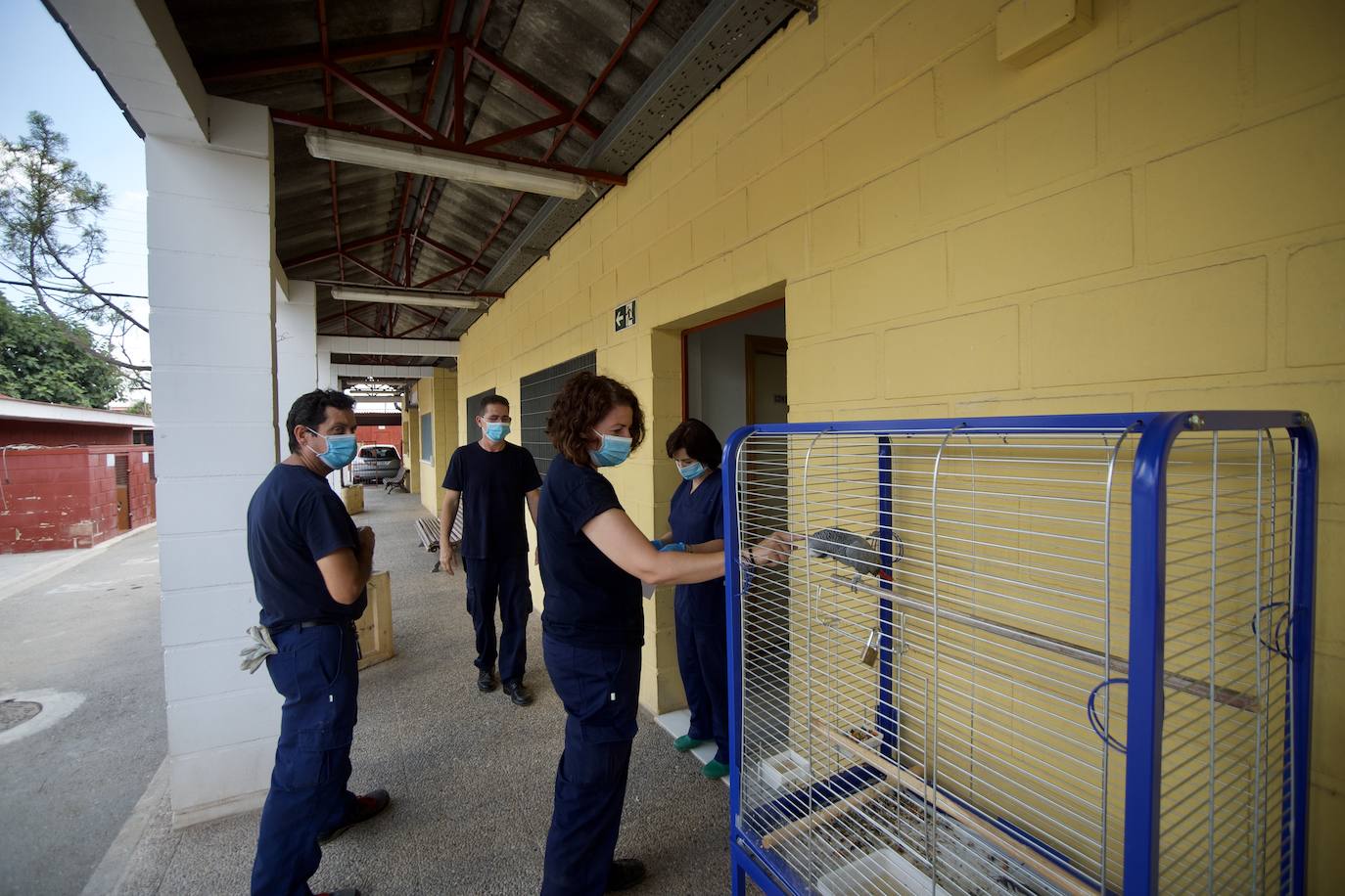 Fotos: El centro de zoonosis tendrá cuatro cuadras más tras su remodelación integral