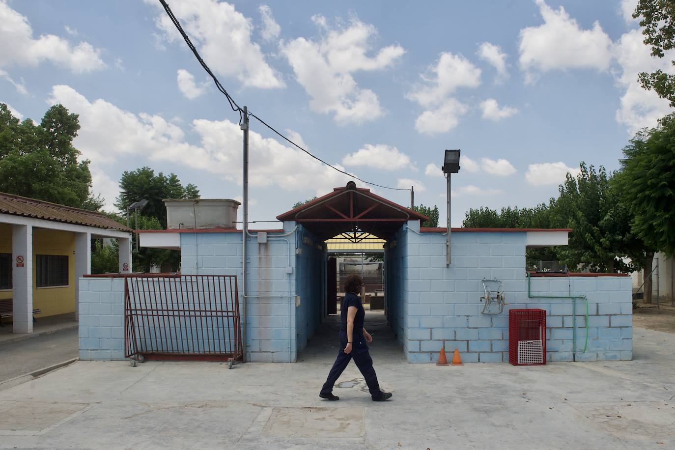 Fotos: El centro de zoonosis tendrá cuatro cuadras más tras su remodelación integral