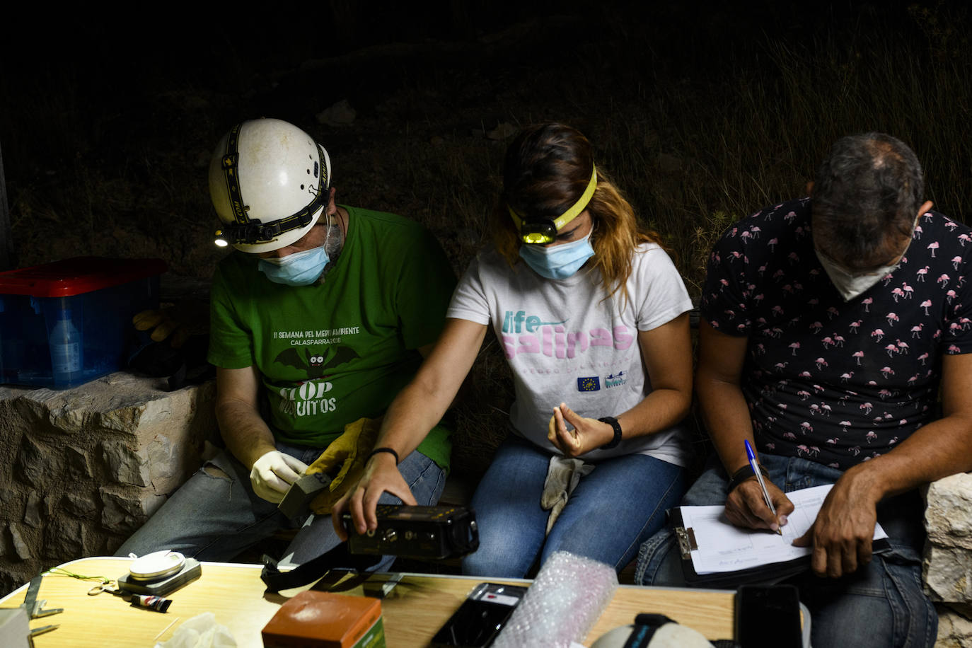 Fotos: La vida secreta del murciélago ratonero patudo