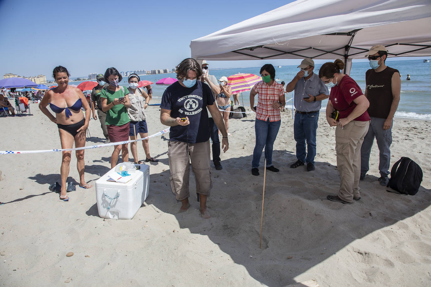 Fotos: Una tortuga boba anida en La Manga