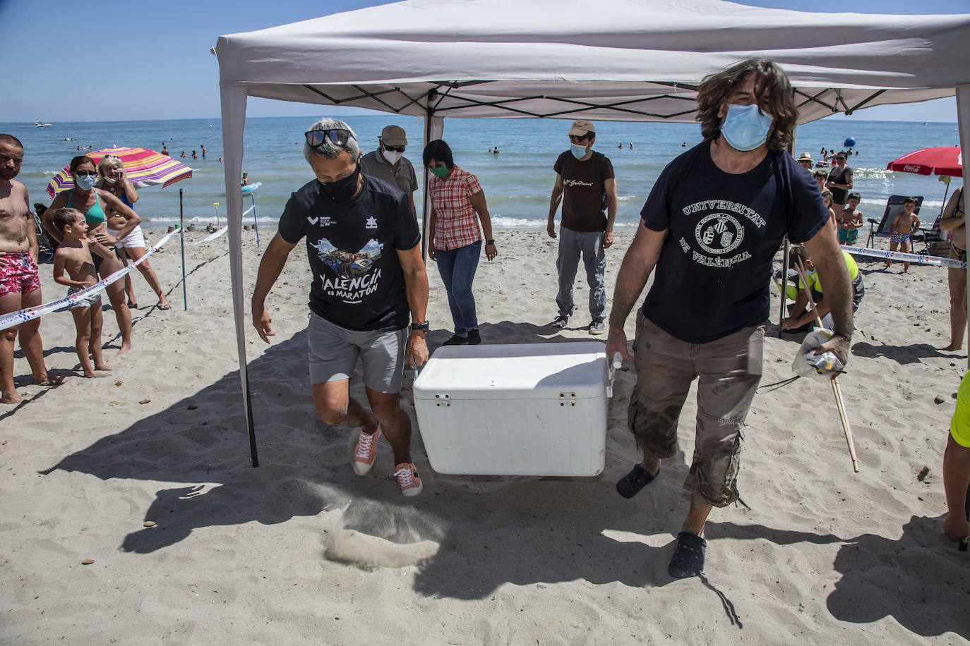 Fotos: Una tortuga boba anida en La Manga