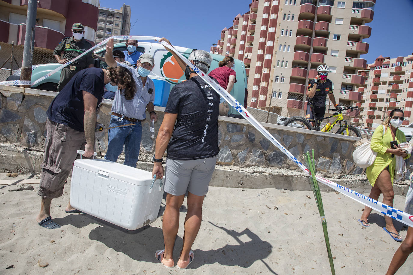 Fotos: Una tortuga boba anida en La Manga