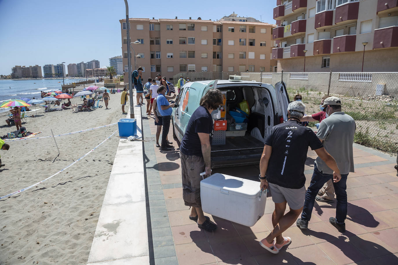 Fotos: Una tortuga boba anida en La Manga