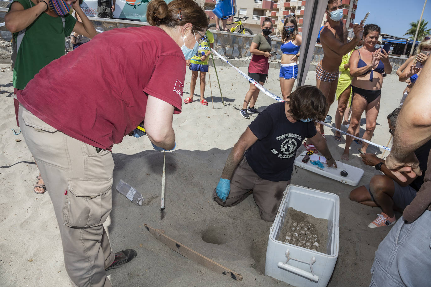 Fotos: Una tortuga boba anida en La Manga