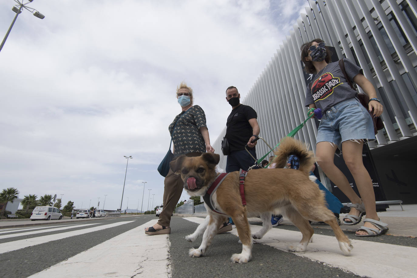 Fotos: Turismo reclama que la Región figure entre los corredores seguros con el Reino Unido