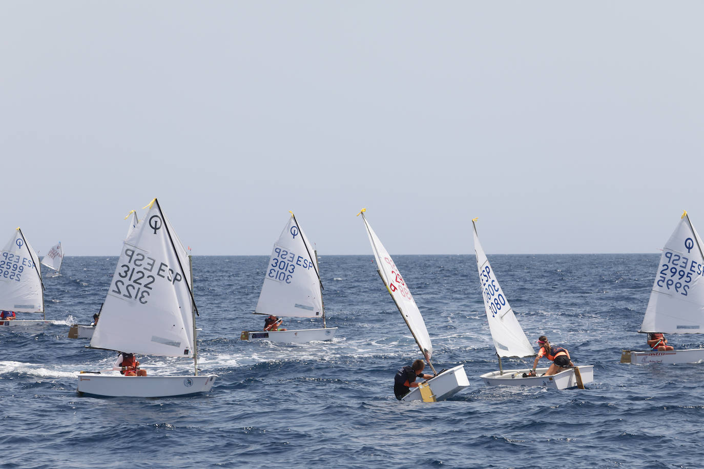 Fotos: Campeonato de España de la clase optimist en Águilas
