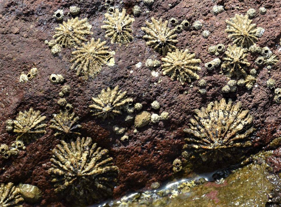 Fotos: Mucho más que una lapa