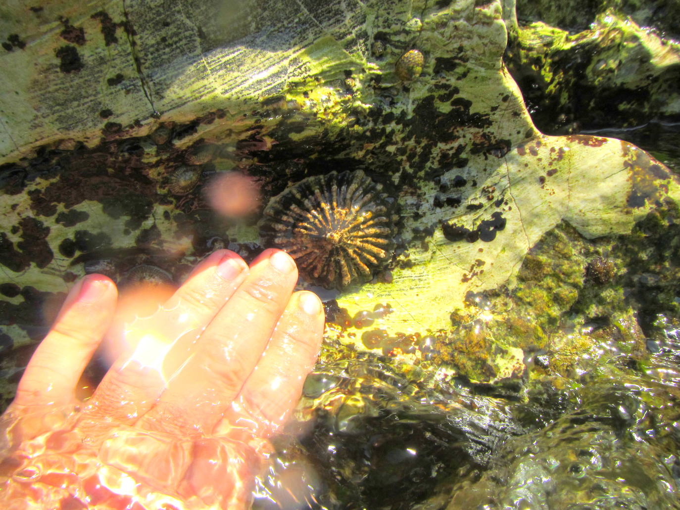 Fotos: Mucho más que una lapa