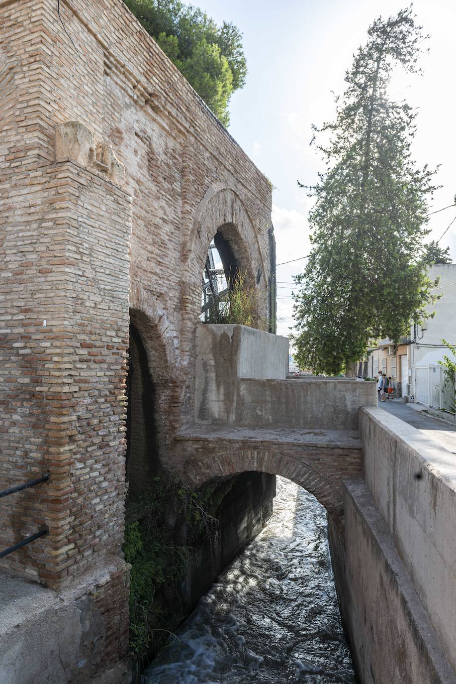 Fotos: La rueda de La Ñora acogerá cinco jardines y un área de reserva arqueológica