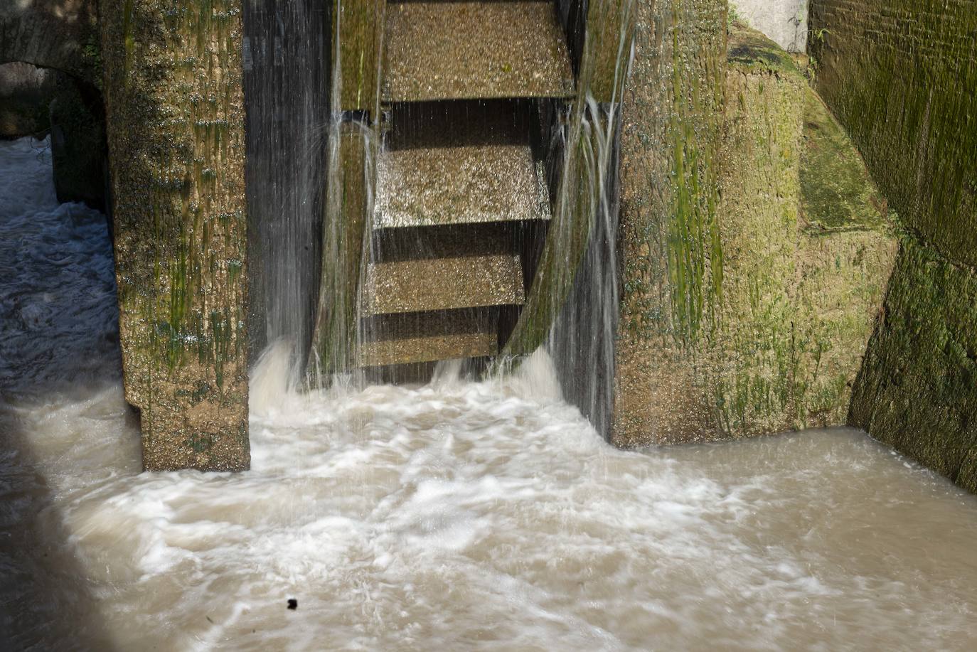Fotos: La rueda de La Ñora acogerá cinco jardines y un área de reserva arqueológica