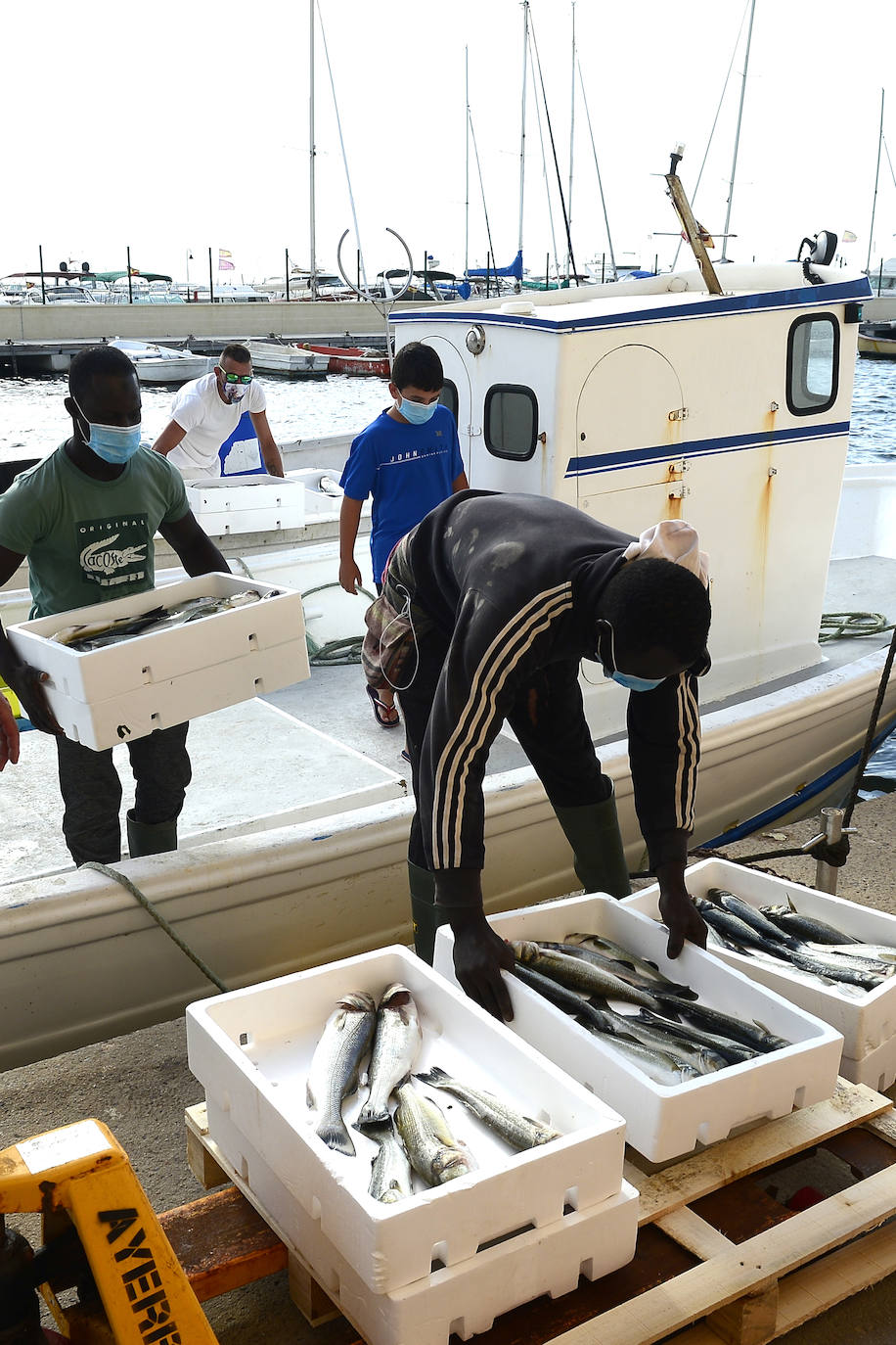 Fotos: El consejero Antonio Luengo visita la Cofradía de Pescadores de San Pedro del Pinatar