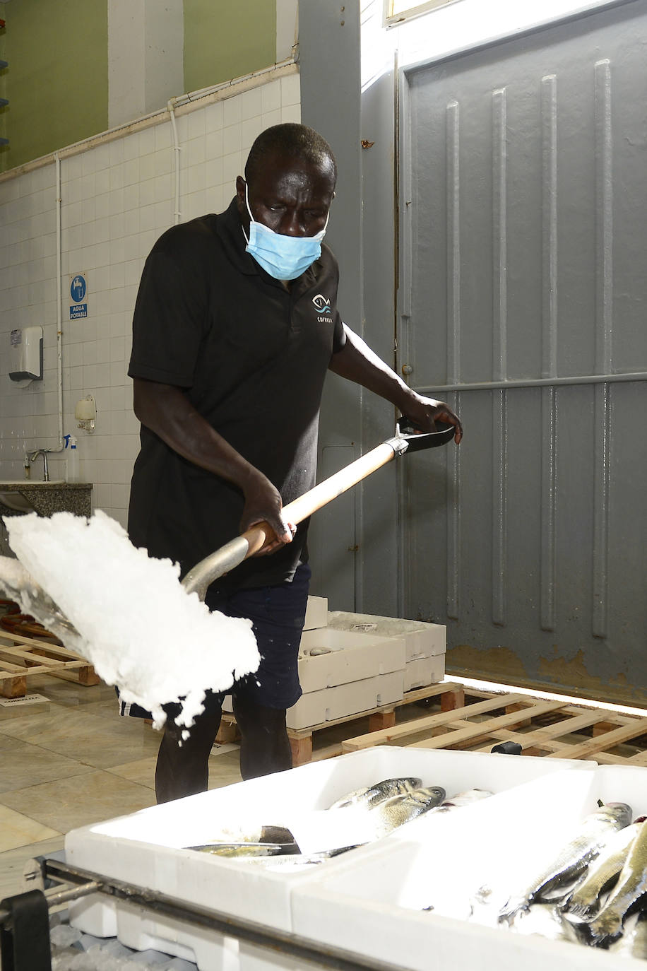 Fotos: El consejero Antonio Luengo visita la Cofradía de Pescadores de San Pedro del Pinatar