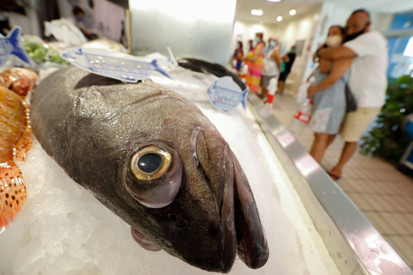 Fotos: Turismo en la playa de Lo Pagán