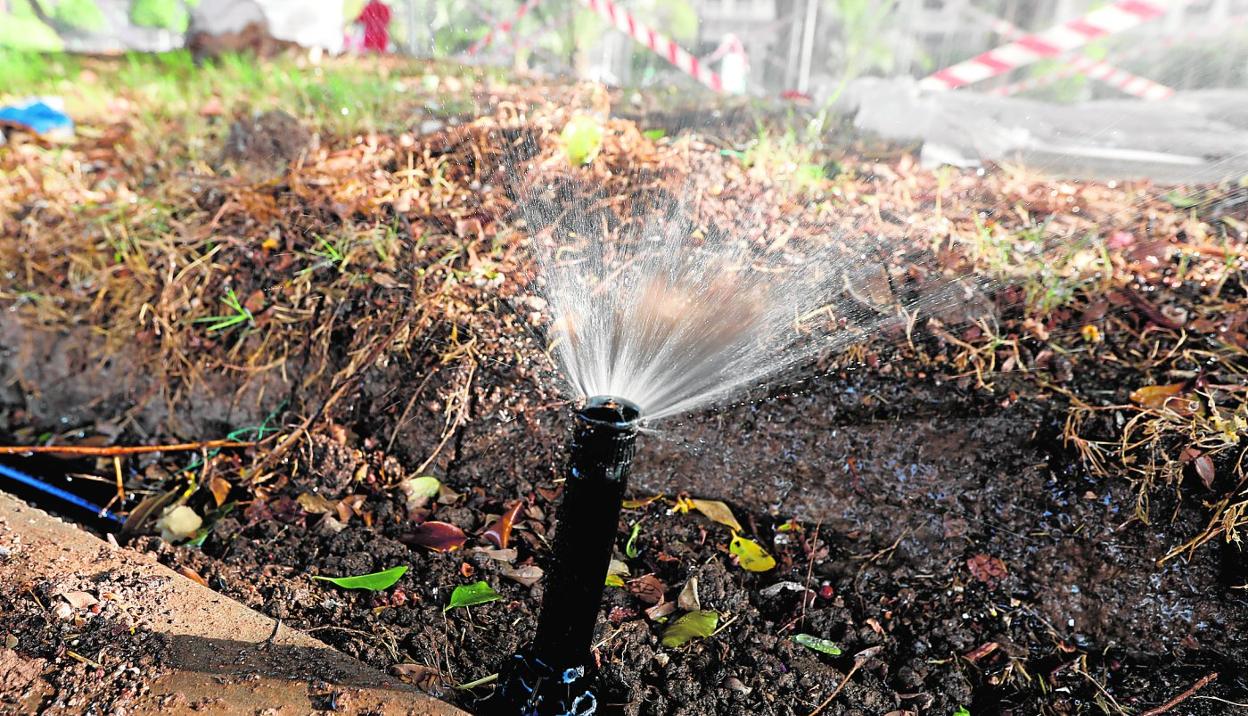 Riego del Jardín Chino activado por sistema wifi que ajusta la programación según la época del año. 