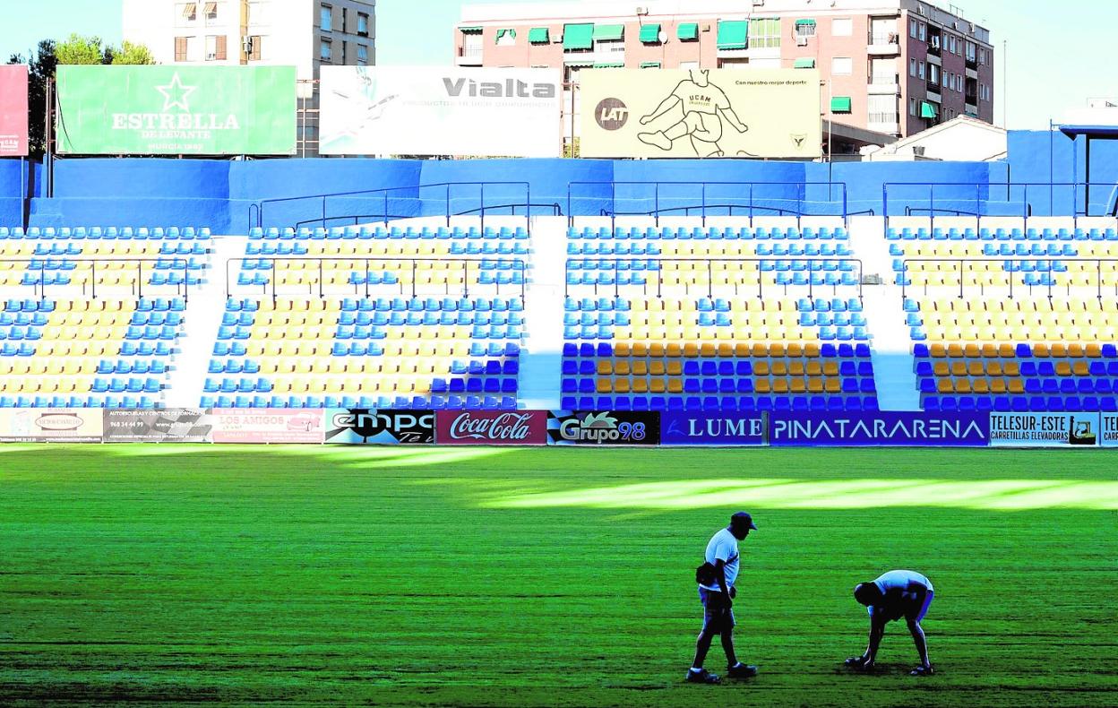 Operarios del UCAM trabajan en el césped de La Condomina antes del estreno del conjunto universitario en Segunda. 