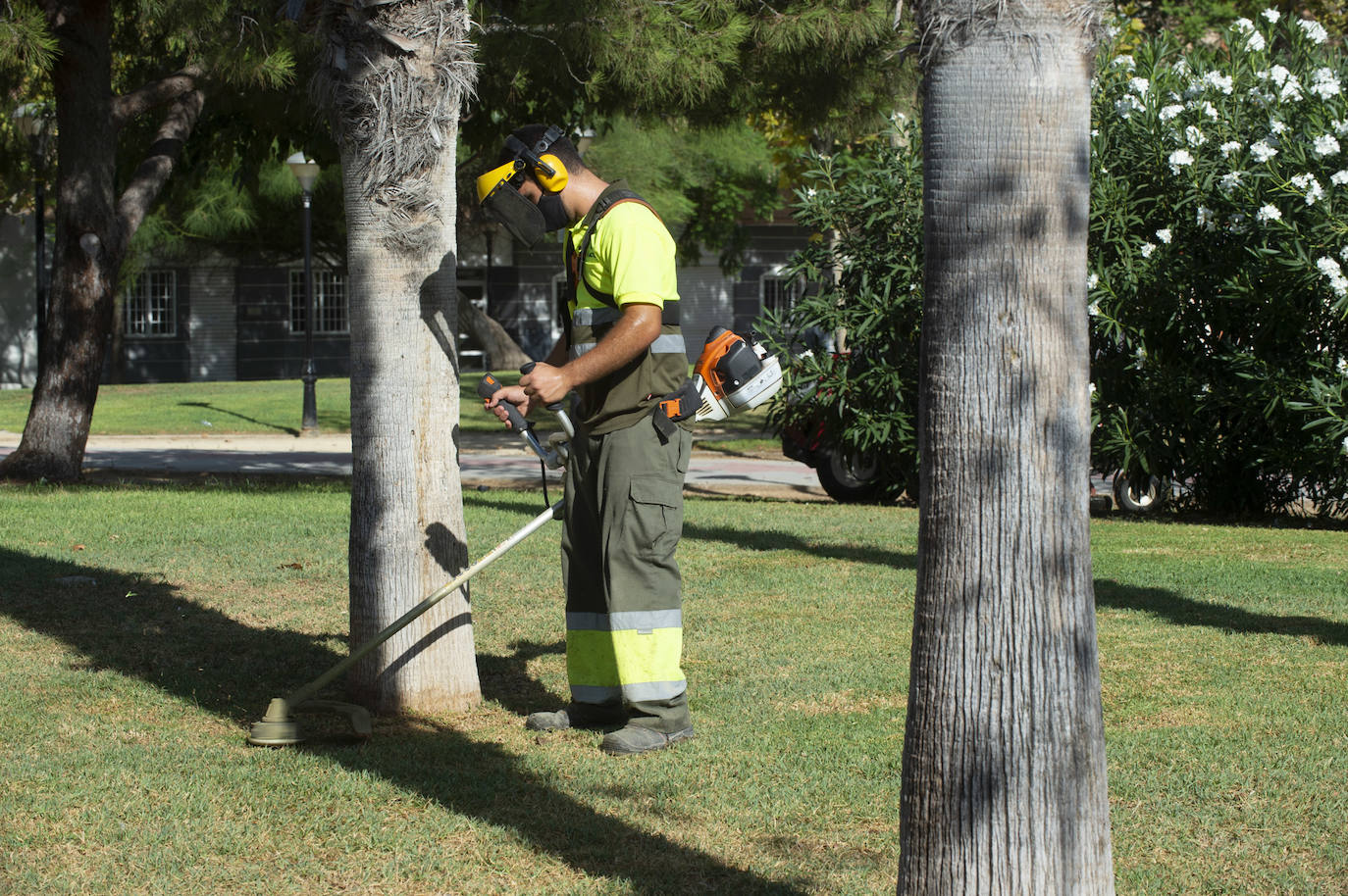 Fotos: Trabajos de limpieza y desinfección diarios en los parques de Murcia