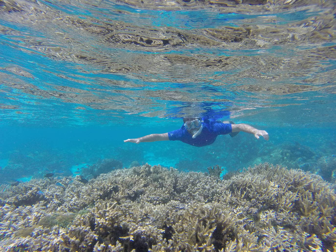 Fotos: El álbum fotográfico de &#039;Argonauta&#039;