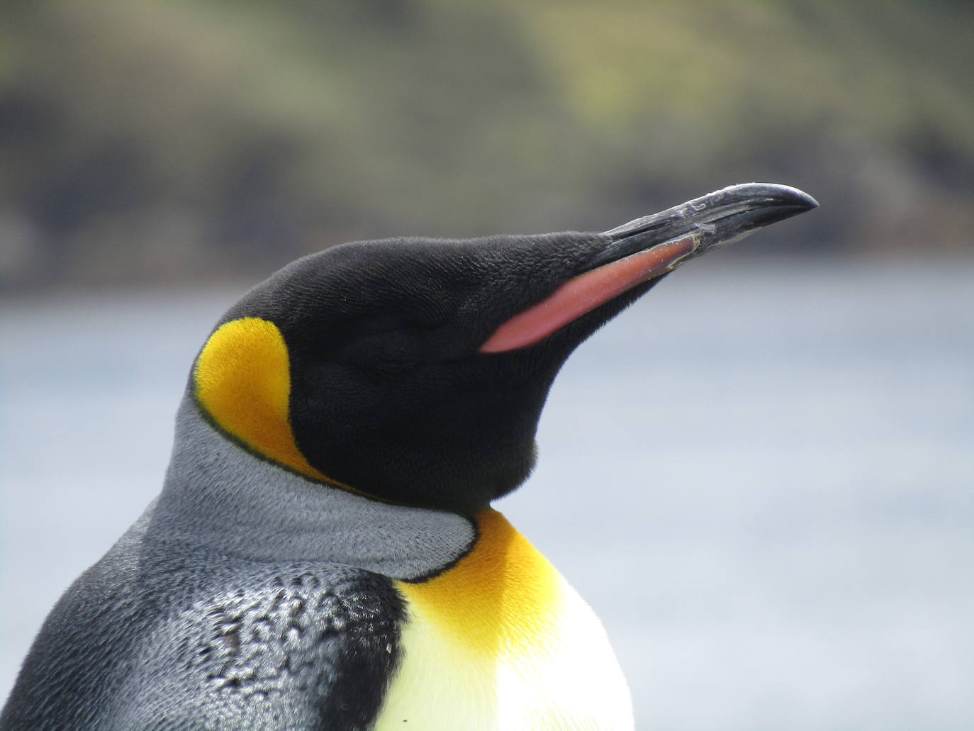 Fotos: El álbum fotográfico de &#039;Argonauta&#039;