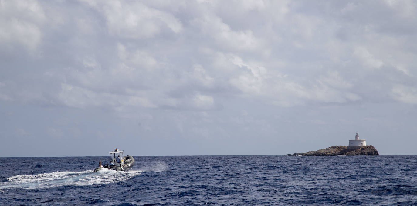 Fotos: La Comunidad de Murcia ampliará la Reserva Marina de Cabo de Palos-Islas Hormigas