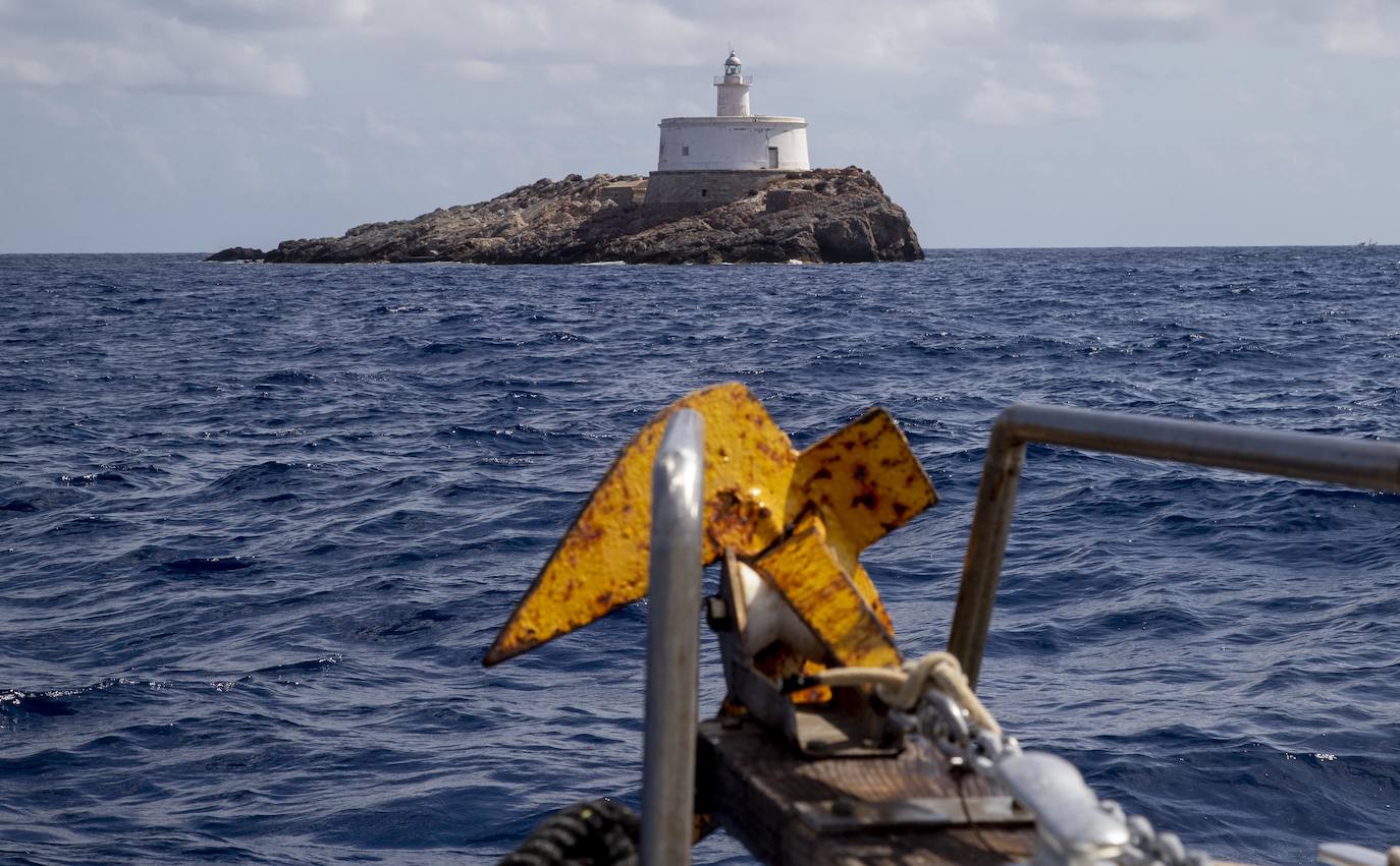 Fotos: La Comunidad de Murcia ampliará la Reserva Marina de Cabo de Palos-Islas Hormigas