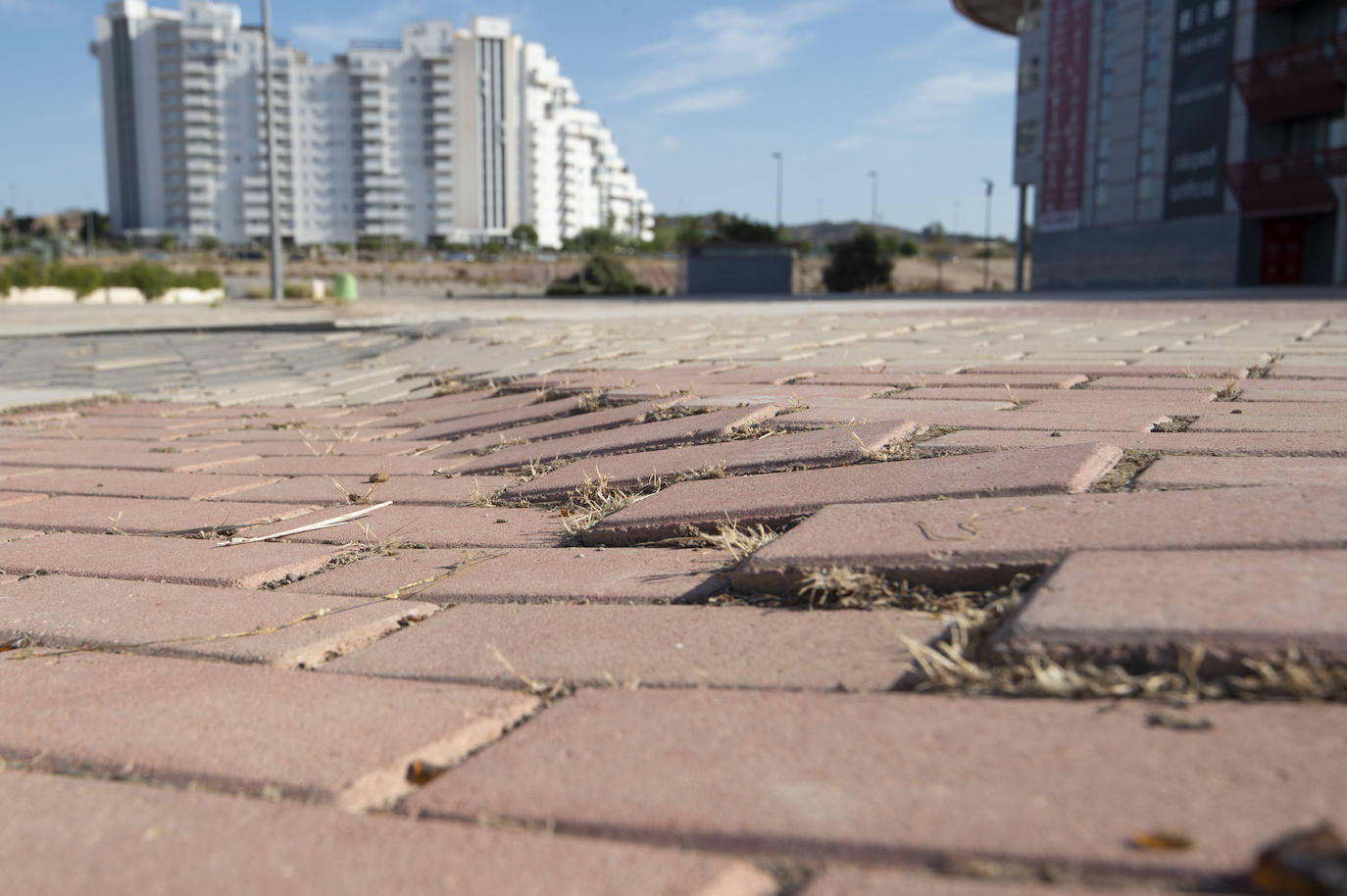 Fotos: Estado del interior y los aledaños del Enrique Roca