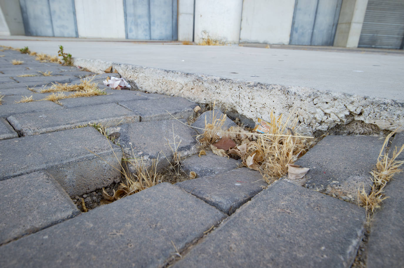 Fotos: Estado del interior y los aledaños del Enrique Roca