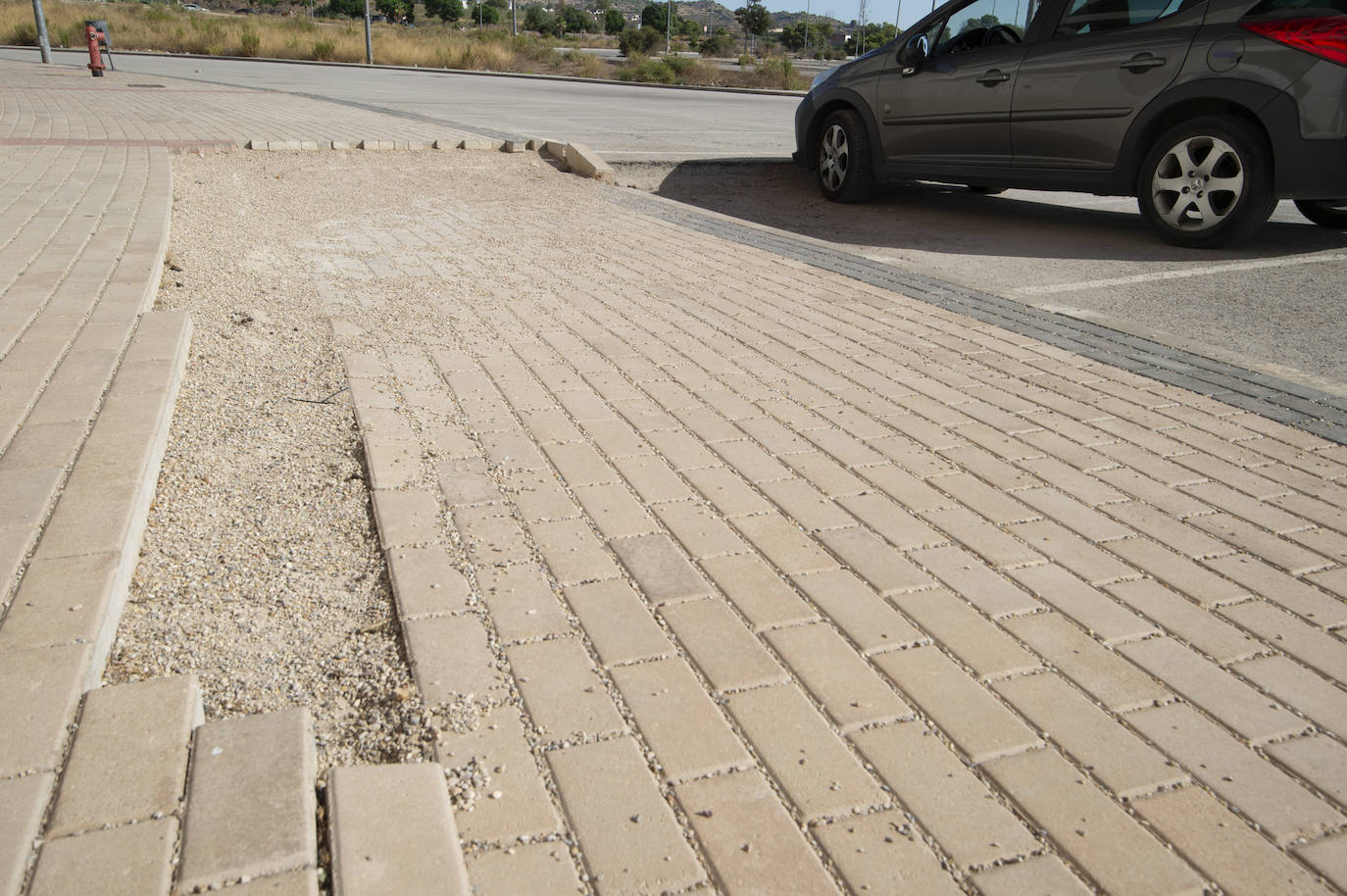 Fotos: Estado del interior y los aledaños del Enrique Roca