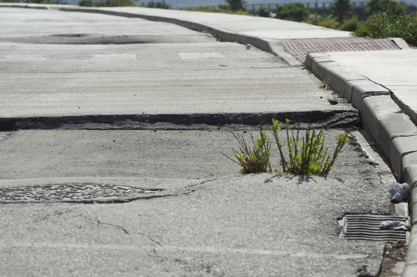 Fotos: Estado del interior y los aledaños del Enrique Roca
